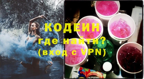 мдпв Киренск