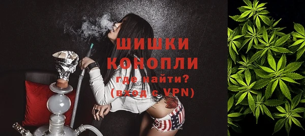 мдпв Киреевск