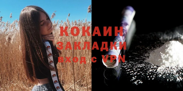 мдпв Киреевск