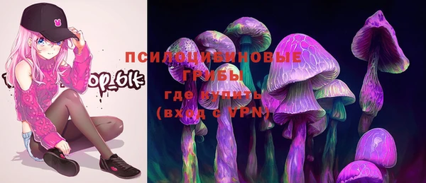 мдпв Киренск
