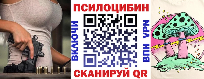 Купить где  Пугачёв  Галлюциногенные грибы Cubensis 