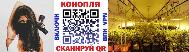 Конопля SATIVA & INDICA  Купить где  Пугачёв 